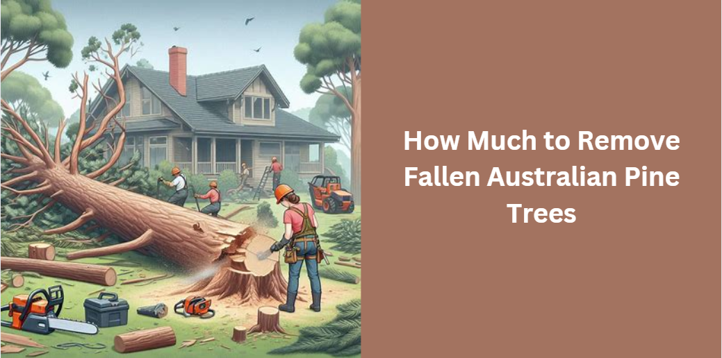 How Much to Remove Fallen Australian Pine Trees