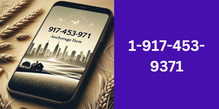 1-917-453-9371