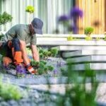 Transform Your Landscape with Sea Breeze Lawn Care
